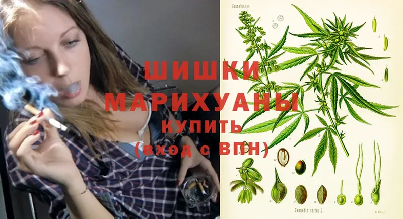 купить наркоту  Ак-Довурак  Бошки марихуана план 